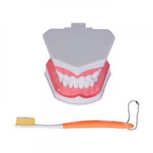 MODELO ODONTO personalizada